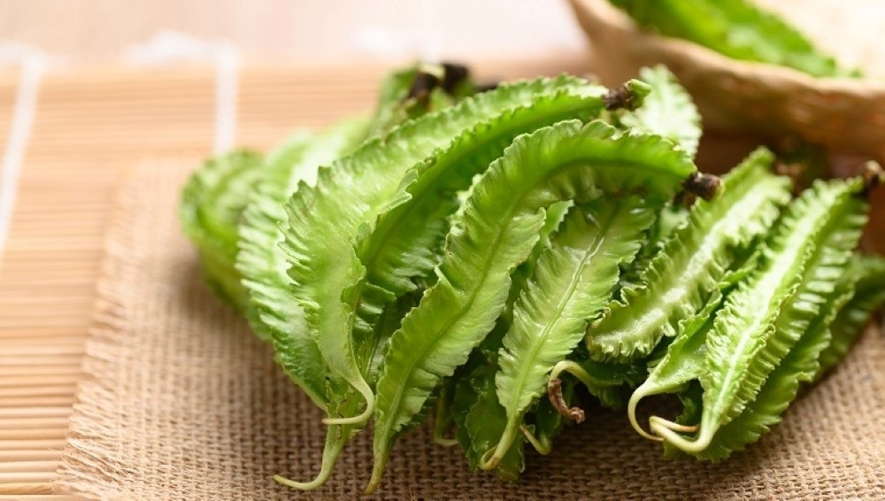 Loại quả Việt bề ngo&agrave;i xanh l&eacute;t, sần s&ugrave;i lại l&agrave; 'v&agrave;ng xanh' cả thế giới săn l&ugrave;ng, hỗ trợ kiểm so&aacute;t đường huyết hiệu quả - Ảnh 2.