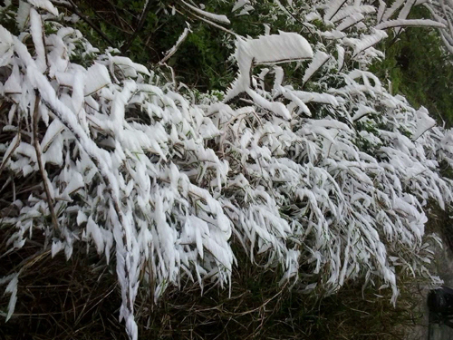 Kh&ocirc;ng kh&iacute; lạnh mạnh đang tr&agrave;n xuống miền Bắc g&acirc;y mưa, r&eacute;t đậm, r&eacute;t hại ra sao? - Ảnh 1.