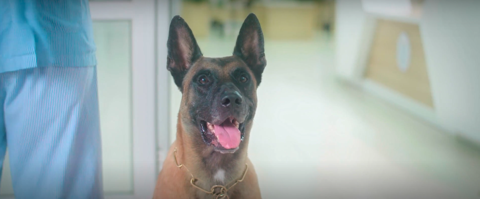 Đồng hồ đếm ngược - Tập 4: Th&agrave;nh c&oacute; si&ecirc;u năng lực sau khi tự tử bất th&agrave;nh- Ảnh 1.