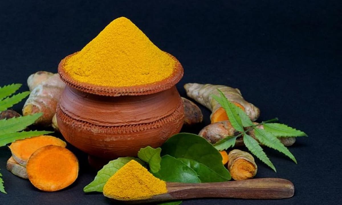 10 thực phẩm n&ecirc;n ăn thường xuy&ecirc;n gi&uacute;p chậm l&atilde;o h&oacute;a- Ảnh 3.