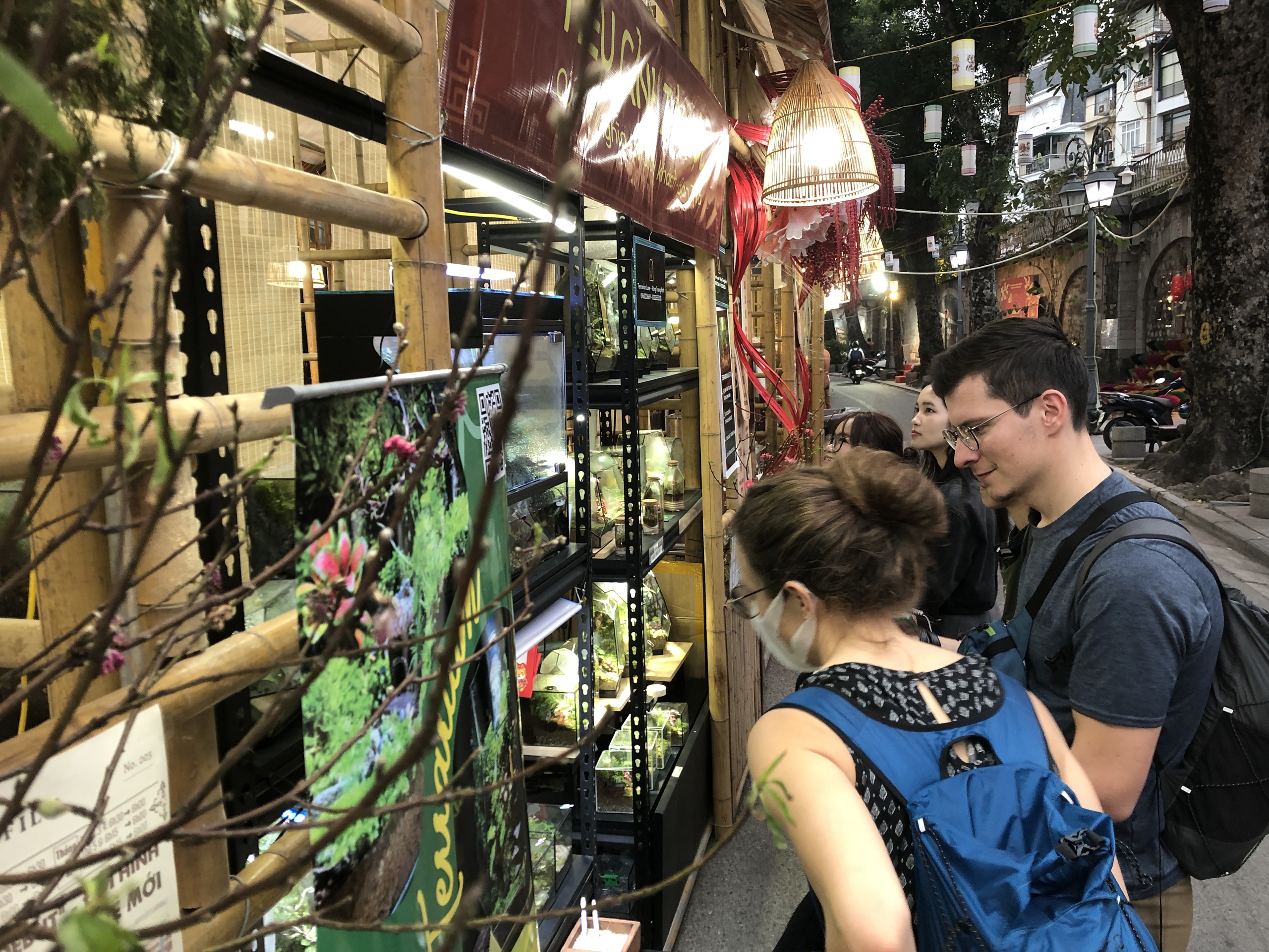 Chợ hoa Xu&acirc;n phố cổ 2026: Điểm đến rực rỡ cho người ti&ecirc;u d&ugrave;ng H&agrave; Nội - Ảnh 12.