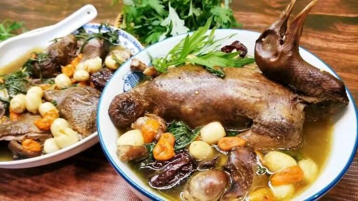 Chim bồ c&acirc;u &ndash; 'đạm v&agrave;ng' được v&iacute; như thực phẩm bồi bổ cao cấp cho cơ thể