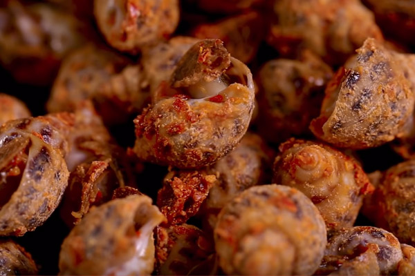 H&ograve;a Minzy nức nở khen ngon m&oacute;n ốc hương rang muối gi&aacute; 1 triệu / k&yacute; - Ảnh 3.