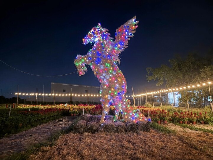 Ngắm linh vật ngựa đẹp, độc đ&aacute;o ở c&aacute;c tỉnh, th&agrave;nh dịp Tết B&iacute;nh Ngọ 2026 - Ảnh 5.