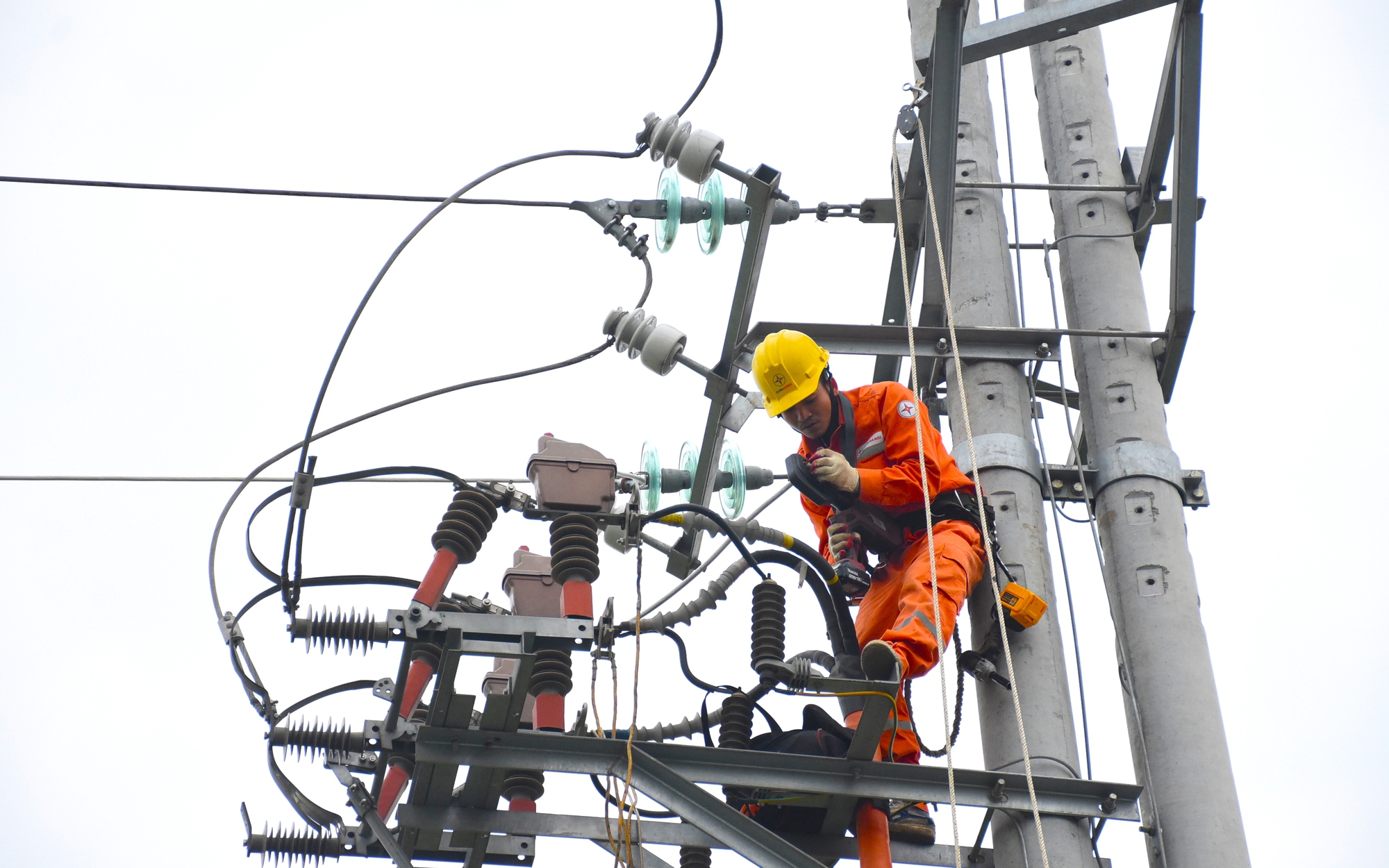 Lịch cúp điện Đồng Nai từ ngày 2 - 8/3/2026: Cập nhật danh sách khu vực bị mất điện mới nhất