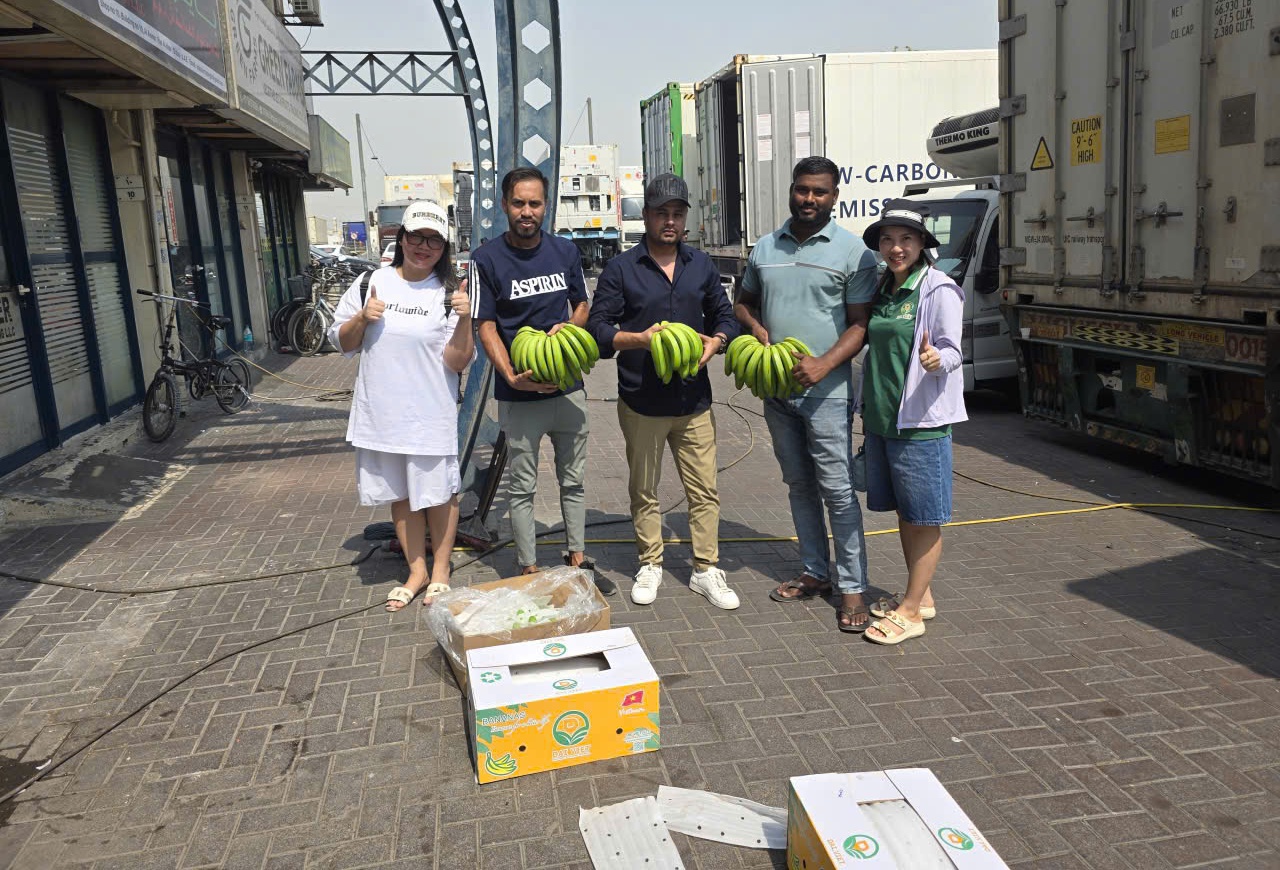 Chung tay đảm bảo an ninh năng lượng: Doanh nghiệp logistics, xuất khẩu tối ưu chi ph&iacute; vận tải, xoay trục thương mại trước xung đột Trung Đ&ocirc;ng