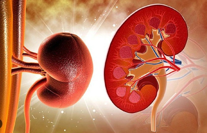 Loại thịt ăn nhiều có thể làm tăng tốc độ suy thận, người Việt cần hiểu  đúng để phòng bệnh