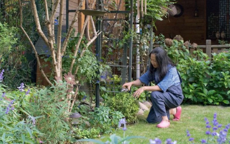 Quyết nghỉ hưu sớm, tôi bỏ phố về sống bình yên trong biệt thự ngoại ô với 5 chú chó