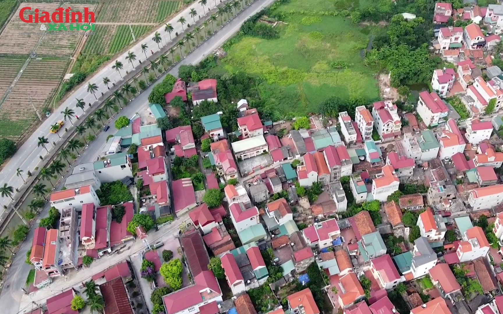 H&agrave; Nội: Bất ngờ trước gi&aacute; cho thu&ecirc; biệt thự tại 3 x&atilde; Đan Phượng, &Ocirc; Di&ecirc;n v&agrave; Li&ecirc;n Minh th&aacute;ng 3/2026 - Ảnh 1.