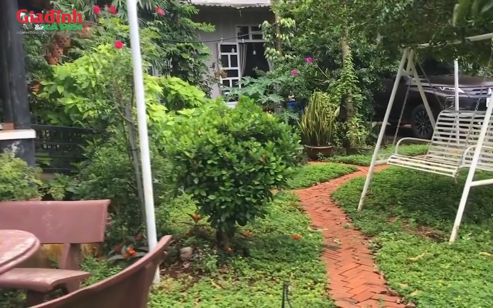 Cần Thơ: Đất vườn bao nhiêu m2 thì được tách sổ đỏ năm 2026 - Ảnh 2. Cần Thơ: Đất vườn bao nhiêu m2 thì được tách sổ đỏ năm 2026 - Ảnh 2.