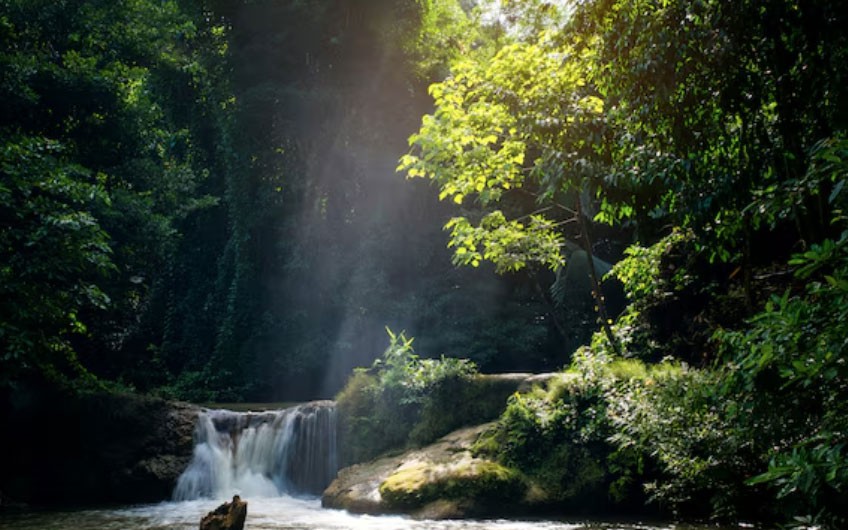Ng&agrave;y sinh &Acirc;m lịch c&aacute;t tường: Hậu vận an l&agrave;nh đ&atilde; được định sẵn