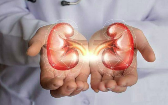 5 dấu hiệu cho thấy thận của nam giới khỏe mạnh: Bạn c&oacute; bao nhi&ecirc;u?