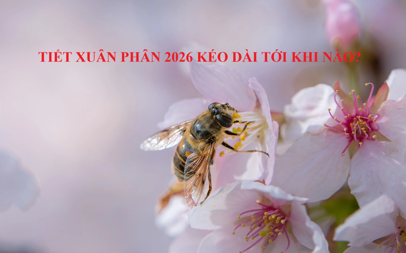 Vị tr&iacute; đặt tỏi trong nh&agrave; gi&uacute;p xua đuổi vận xui, đem lại t&agrave;i lộc v&agrave; b&igrave;nh an - Ảnh 1.