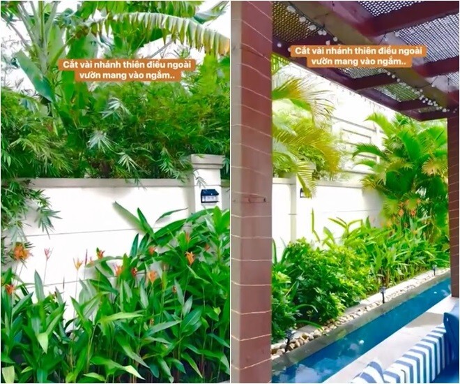 "Nữ đại gia kim cương" miền Bắc khoe hoa tươi ngoài vườn nhưng để lộ không gian bể bơi tại gia đáng mơ ước - Ảnh 2. "Nữ đại gia kim cương" miền Bắc khoe hoa tươi ngoài vườn nhưng để lộ không gian bể bơi tại gia đáng mơ ước - Ảnh 2.
