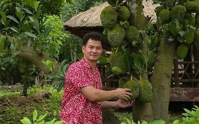 Sở th&iacute;ch đặc biệt của Cục trưởng Xu&acirc;n Bắc trong "biệt phủ" ngoại &ocirc;