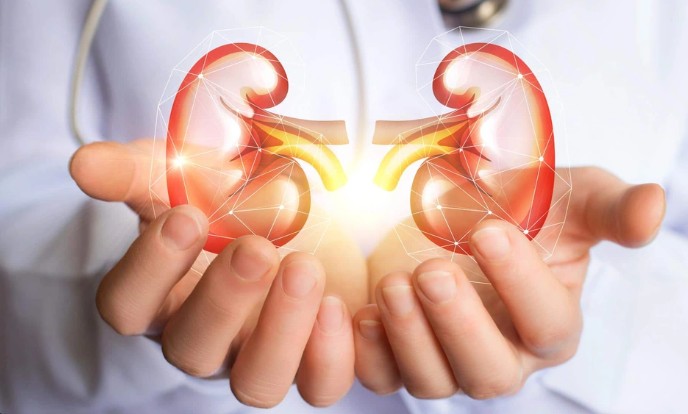 Loại rau mát bổ nhưng tăng gánh nặng cho thận, người bệnh suy thận nếu ăn cần phải đúng cách - Ảnh 1.