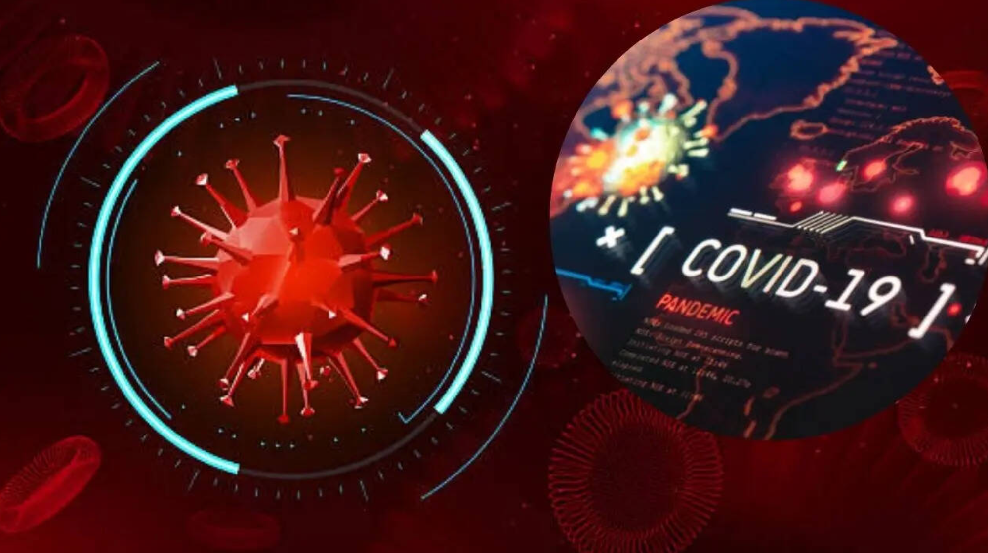 Bộ Y tế th&ocirc;ng tin mới nhất về biến thể 've sầu' của COVID-19- Ảnh 1.