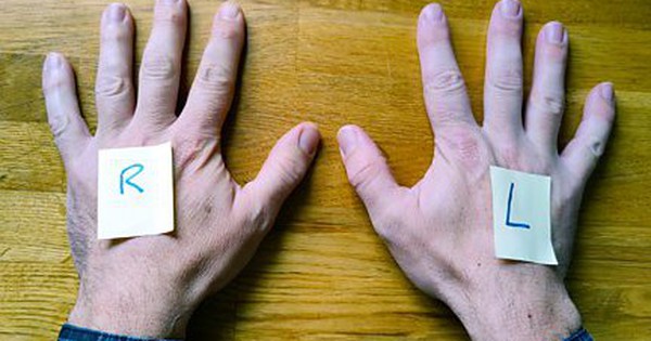 Lý Do Nhiều Người Thông Minh Vẫn Gặp Khó Khăn Trong Việc Phân Biệt Trái Phải