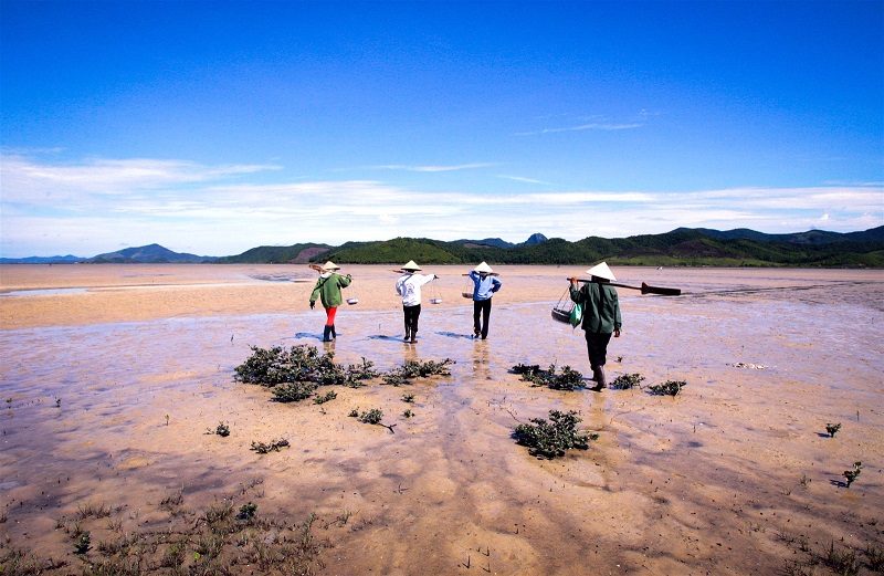 Chạm mốc 6.000.000 đồng/kg sinh vật l&uacute;c nh&uacute;c nh&igrave;n như giun đất ở Quảng Ninh, xưa chỉ si&ecirc;u gi&agrave;u d&aacute;m tẩm bổ nay đại gia vẫn r&aacute;o riết săn l&ugrave;ng - Ảnh 2.