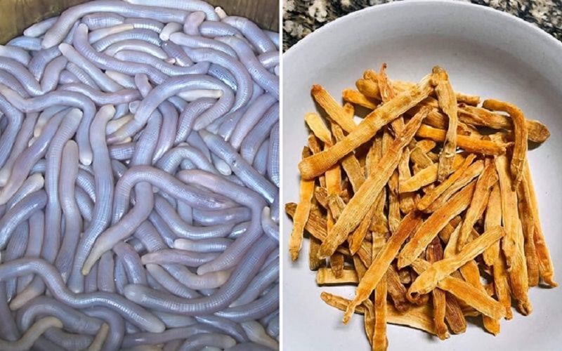 Chạm mốc 6.000.000 đồng/kg sinh vật l&uacute;c nh&uacute;c nh&igrave;n như giun đất ở Quảng Ninh, xưa chỉ si&ecirc;u gi&agrave;u d&aacute;m tẩm bổ nay đại gia vẫn r&aacute;o riết săn l&ugrave;ng - Ảnh 3.