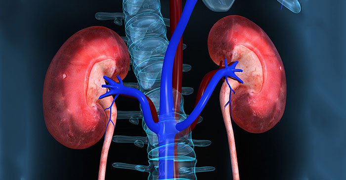 6 loại quả đang bán đầy chợ Việt, người bệnh suy thận nên ăn để kiểm soát bệnh, ngăn ngừa biến chứng - Ảnh 8.