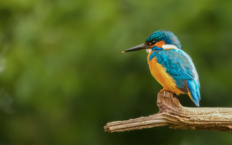 3 khung giờ &Acirc;m lịch sinh ra "đứa trẻ ph&uacute; qu&yacute;": Tương lai rộng mở, bố mẹ an nh&agrave;n tuổi gi&agrave;