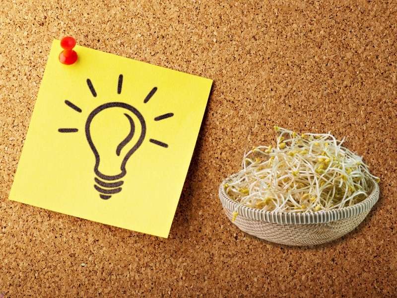 Giá đỗ: Rau rẻ bèo tốt cho tim mạch và xương khớp năm 2026 - Ảnh 1. Giá đỗ: Rau rẻ bèo tốt cho tim mạch và xương khớp năm 2026 - Ảnh 1.