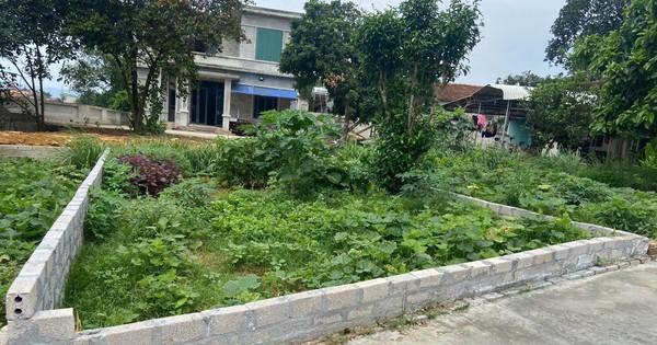 "Nh&agrave; chồng cho đất nhưng kh&ocirc;ng cho t&ocirc;i đứng t&ecirc;n d&ugrave; t&ocirc;i bỏ tiền x&acirc;y nh&agrave;": 2 chiến lược kh&ocirc;n ngoan phụ nữ th&ocirc;ng minh sẽ biết