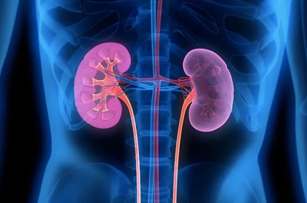 Nắng nóng, 6 việc người Việt nên làm để phòng ngừa nguy cơ suy thận và bệnh lý đường tiết niệu - Ảnh 1. Nắng nóng, 6 việc người Việt nên làm để phòng ngừa nguy cơ suy thận và bệnh lý đường tiết niệu - Ảnh 1.