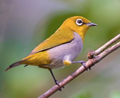 Số cuối ngày sinh Âm lịch dự báo tài lộc ở tuổi trung niên - Ảnh 1. Số cuối ngày sinh Âm lịch dự báo tài lộc ở tuổi trung niên - Ảnh 1.