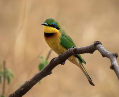 Số cuối ngày sinh Âm lịch dự báo tài lộc ở tuổi trung niên - Ảnh 2. Số cuối ngày sinh Âm lịch dự báo tài lộc ở tuổi trung niên - Ảnh 2.