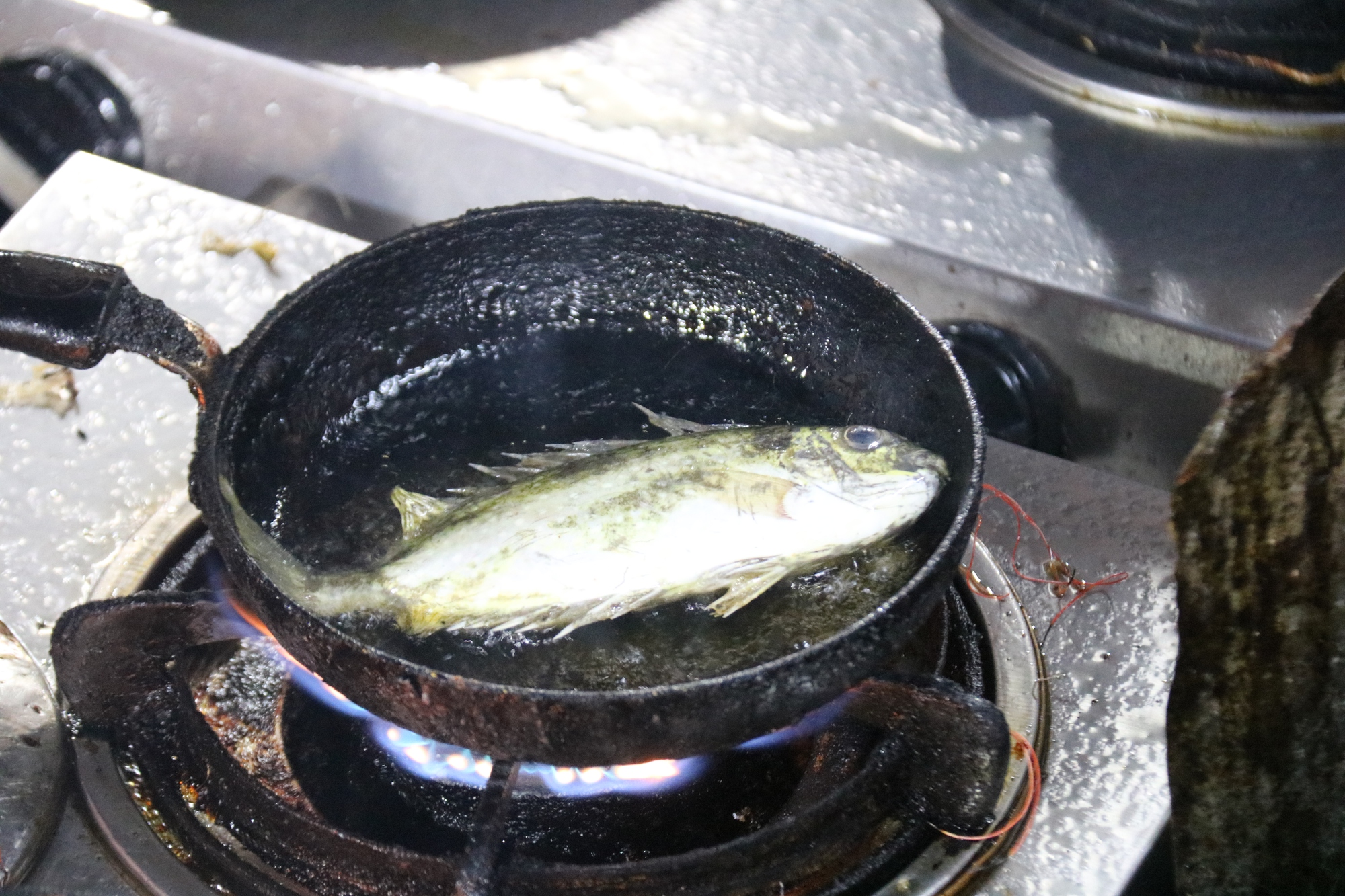 Về làng Chuồn ăn bánh khoái cá kình- Ảnh 8. Về làng Chuồn ăn bánh khoái cá kình- Ảnh 8.