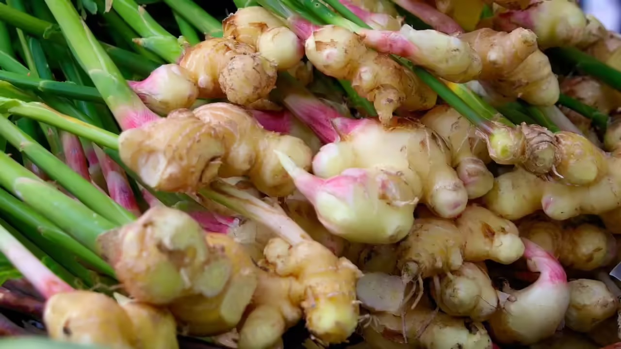 8 Si&ecirc;u thực phẩm dễ trồng trong nh&agrave; cho sức khỏe tốt năm 2026 - Ảnh 2.