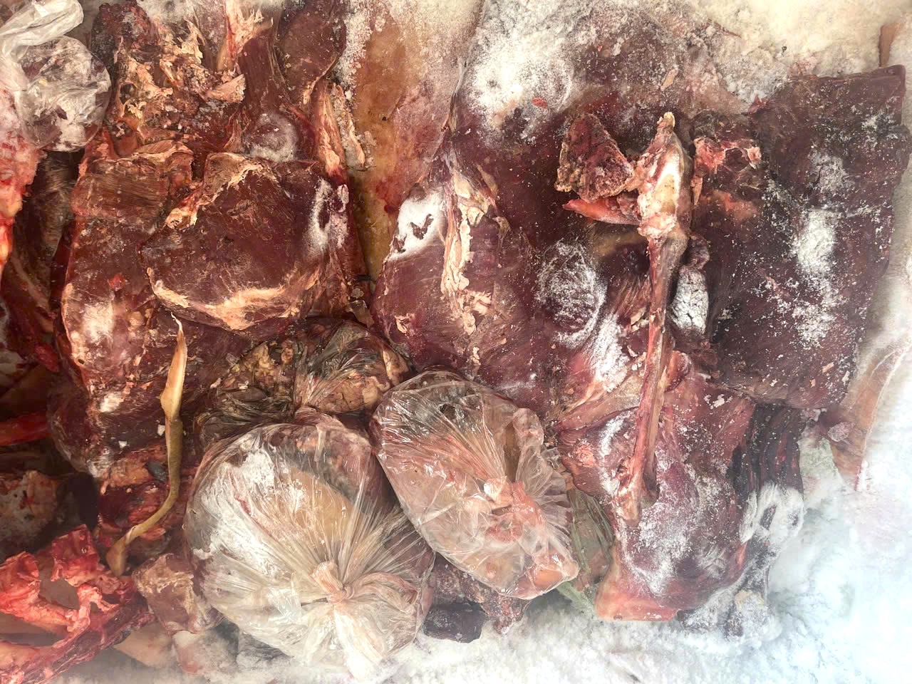 Kiểm tra cửa h&agrave;ng kinh doanh, bất ngờ ph&aacute;t hiện thịt tr&acirc;u &ocirc;i thiu để tủ lạnh - Ảnh 1.