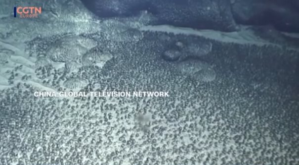 Ph&aacute;t hiện b&aacute;u vật la liệt dưới đ&aacute;y biển, Mỹ v&agrave; Trung Quốc chạy đua gi&agrave;nh phần hơn, ch&igrave;a kh&oacute;a cho năng lượng tương lai - Ảnh 2.