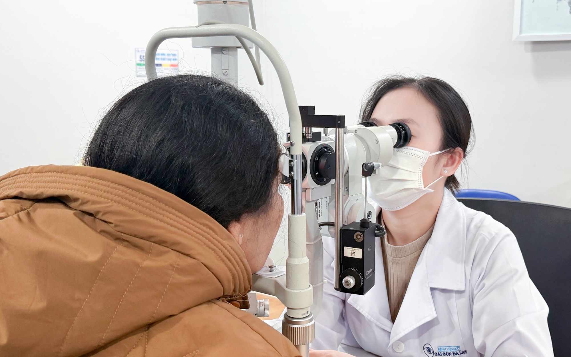 Người Phụ Nữ 61 Tuổi Ở Lâm Đồng Bị Ong Két Đốt Trong Mắt Suốt 24 Giờ