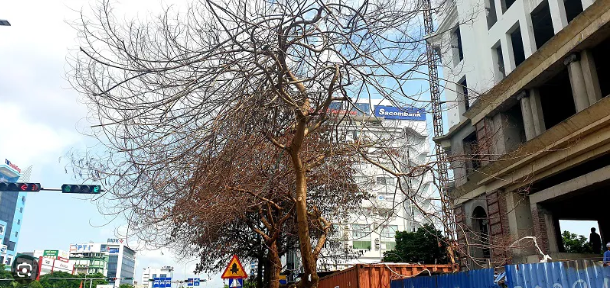 Trước nh&agrave; xuất hiện thứ n&agrave;y, con ch&aacute;u kh&oacute; l&ograve;ng l&agrave;m ăn ph&aacute;t đạt, ngh&egrave;o m&atilde;i kh&ocirc;ng th&ocirc;i - Ảnh 1.