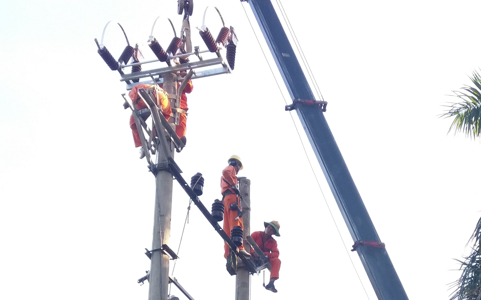 Lịch c&uacute;p điện Đồng Nai từ ng&agrave;y 20 - 26/4/2026: Cập nhật những khu d&acirc;n cư v&agrave; tuyến đường sẽ bị mất điện để sửa chữa đường d&acirc;y