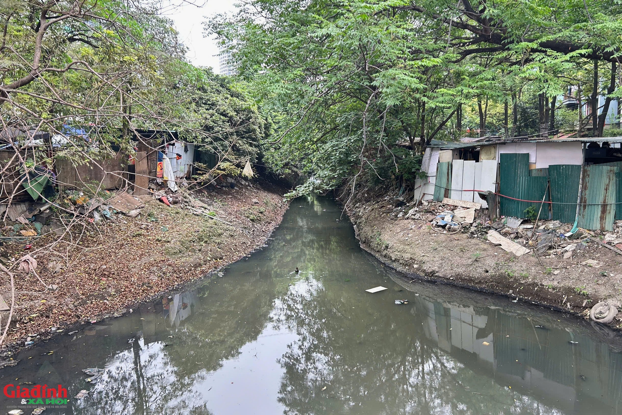 H&agrave; Nội: Bất chấp r&agrave;o chắn v&agrave; biển cấm, trật tự đ&ocirc; thị tại phường Cầu Giấy bị 'th&aacute;ch thức' nghi&ecirc;m trọng - Ảnh 1.