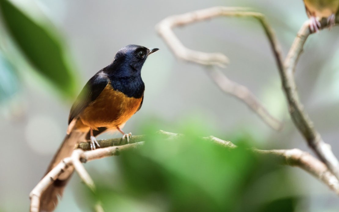 3 khung giờ sinh &Acirc;m lịch của đ&agrave;n &ocirc;ng bị cho l&agrave; 'số khổ' - Ảnh 1.