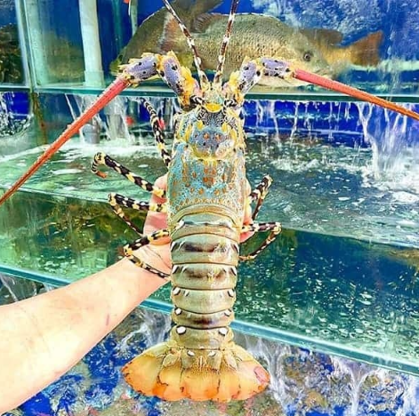 Lẩu t&ocirc;m h&ugrave;m chua cay, đậm đ&agrave; si&ecirc;u hấp dẫn tại nh&agrave; với c&aacute;ch l&agrave;m đơn giản - Ảnh 1.