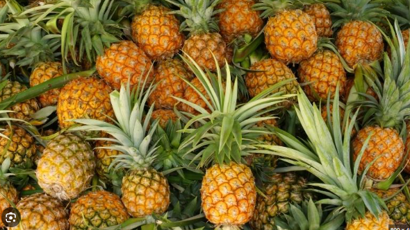 C&ocirc;ng dụng thần kỳ của vỏ dứa bạn n&ecirc;n biết - Ảnh 3.