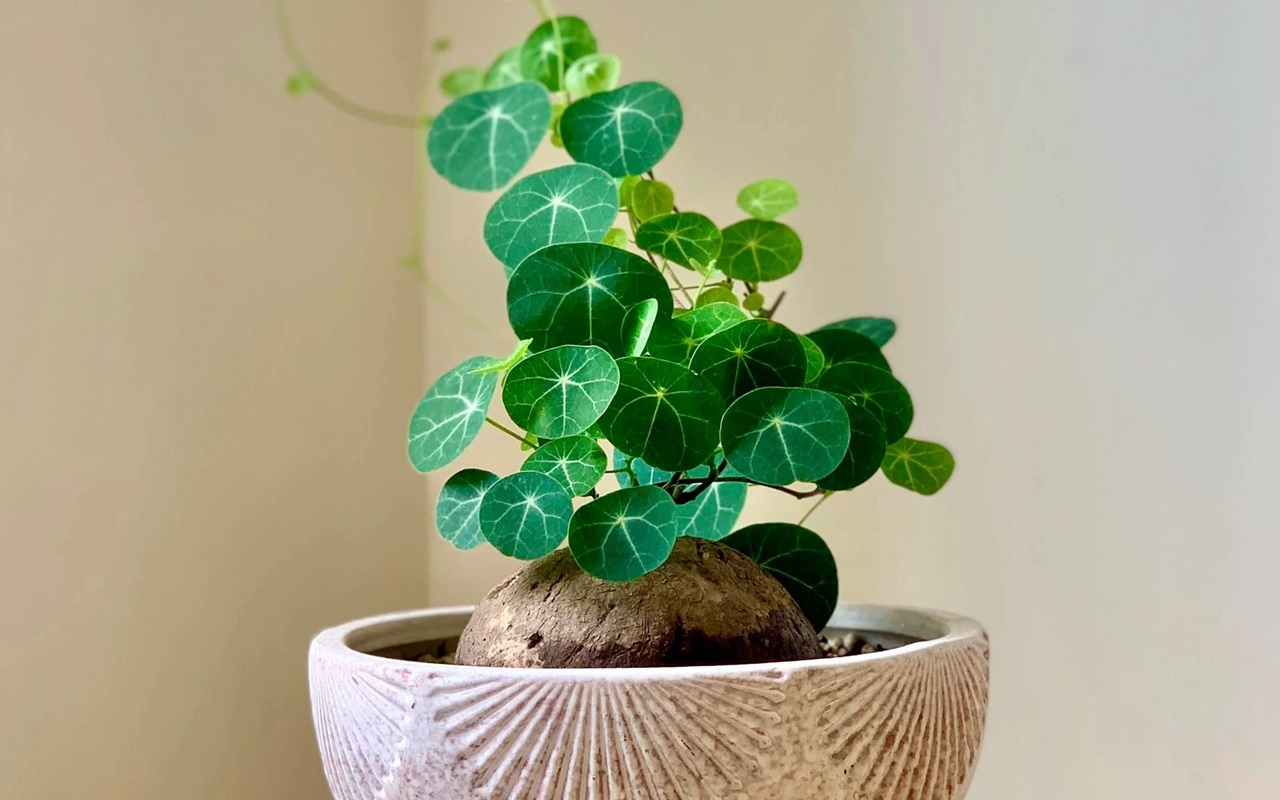 Xem ng&agrave;y giờ tốt xấu tuần mới 27/4 - 3/5/2026 cho c&ocirc;ng việc thuận lợi - Ảnh 1.