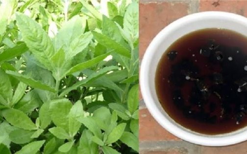 C&ocirc;ng thức m&oacute;n ăn cho cho người bị sỏi thận - Ảnh 6.