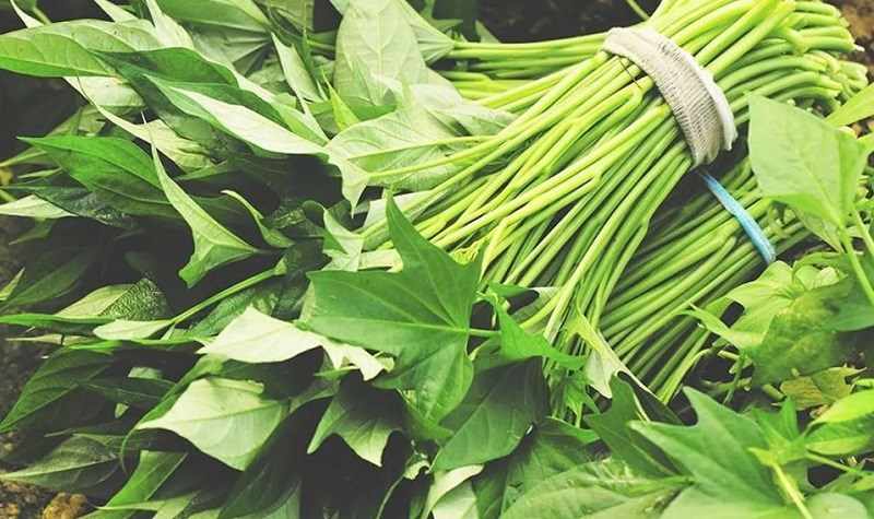 Loại "rau trường thọ" n&ecirc;n ăn m&ugrave;a n&agrave;y để sạch ruột, bổ dạ d&agrave;y, tăng miễn dịch: Chỉ v&agrave;i ng&agrave;n một b&oacute; lại chế biến nhiều m&oacute;n cực ngon miệng - Ảnh 2.