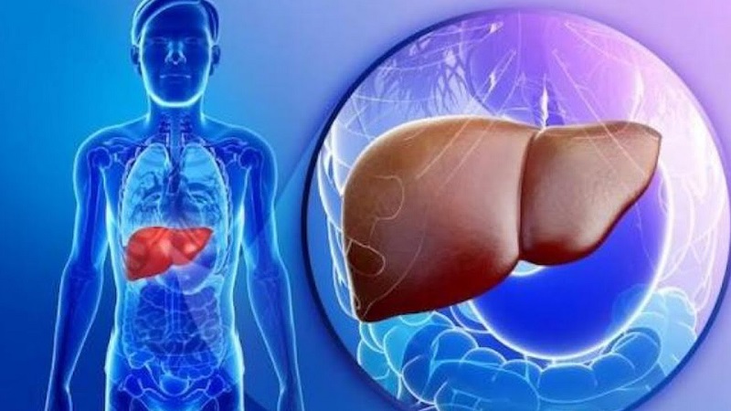 Loại quả bán rẻ quanh năm, giúp thải độc gan hiệu quả, người Việt nên ăn để phòng bệnh - Ảnh 1.