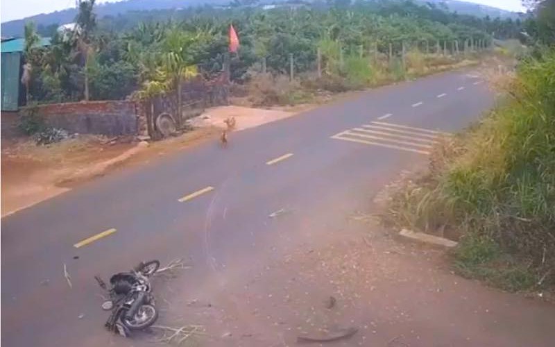 Vụ tai nạn khiến nam sinh tử vong ở Đắk Lắk: Nạn nh&acirc;n đủ tuổi l&aacute;i xe nhưng phương tiện đ&atilde; 'độ chế', chạy qu&aacute; tốc độ - Ảnh 2.