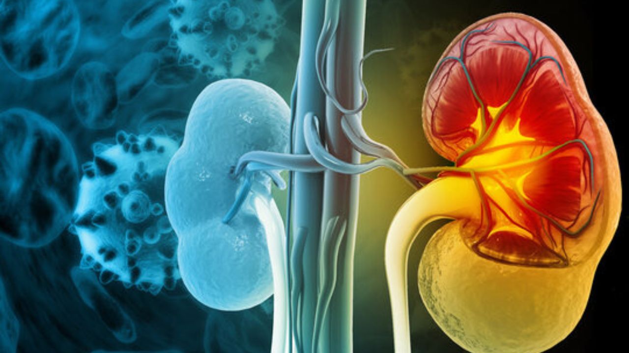 Loại củ quen thuộc đang bán nhiều ở chợ Việt, người bệnh suy thận cần lưu ý khi ăn để ngừa biến chứng - Ảnh 2.