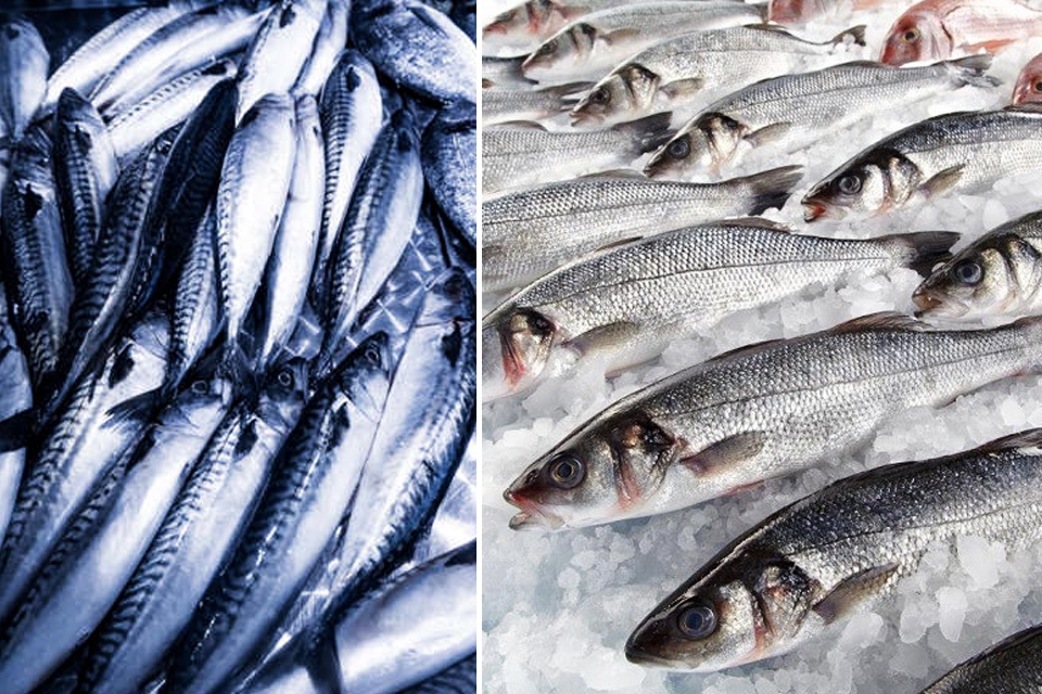 C&aacute; b&eacute;o gi&uacute;p giảm mỡ m&aacute;u hiệu quả v&agrave; tốt cho sức khỏe tim mạch - Ảnh 2.