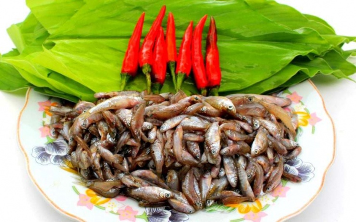 C&aacute; rầm - m&oacute;n ăn d&acirc;n d&atilde; trở th&agrave;nh đặc sản đắt gi&aacute; m&ugrave;a lũ năm 2026 - Ảnh 1.